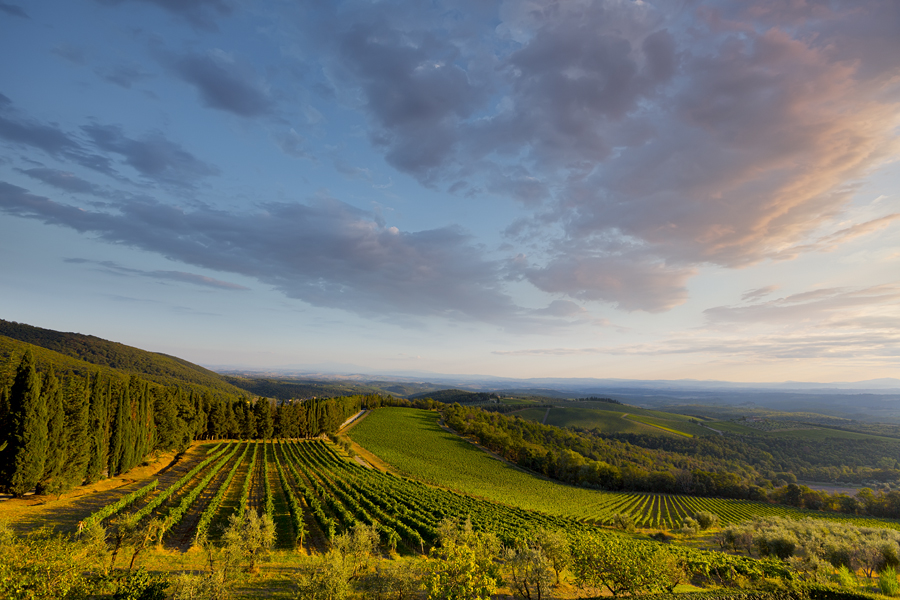 Tuscany Wine Tour: Best Wineries and Tastings